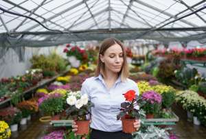 Las flores ecuatorianas llegan a Estados Unidos y Europa.