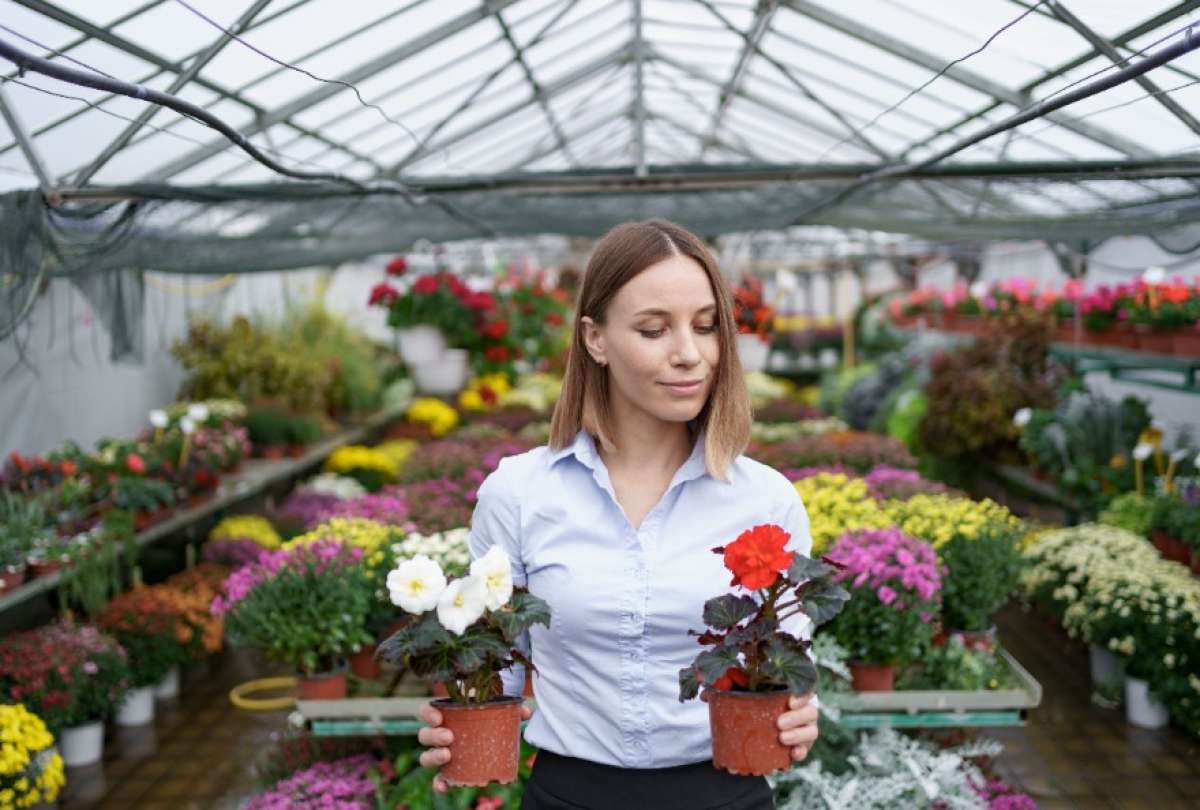 Las flores ecuatorianas llegan a Estados Unidos y Europa.