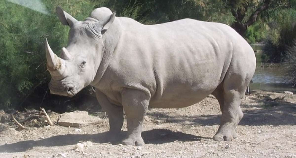 Foto: @AnimalPlanet 