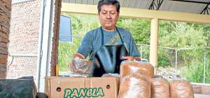 Desde hace 20 a&ntilde;os, aproximadamente, los habitantes se dedican a la elaboraci&oacute;n y distribuci&oacute;n de panela. Jos&eacute; Reyes la comercializa en varios puntos de Quito. Foto: Gabriela Castillo Albuja