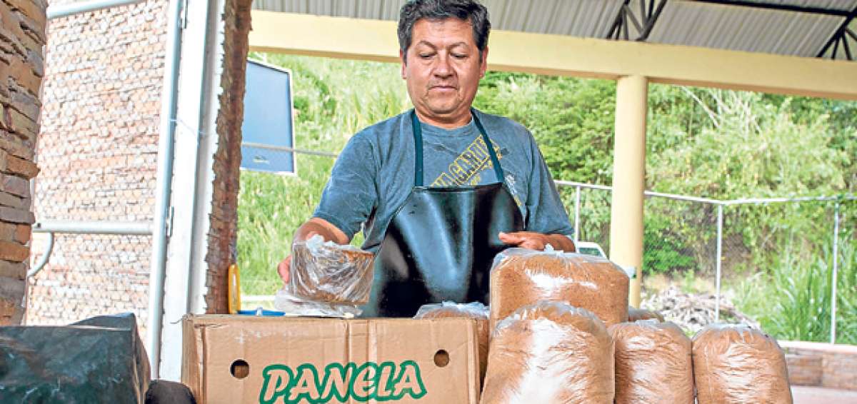 Desde hace 20 a&ntilde;os, aproximadamente, los habitantes se dedican a la elaboraci&oacute;n y distribuci&oacute;n de panela. Jos&eacute; Reyes la comercializa en varios puntos de Quito. Foto: Gabriela Castillo Albuja