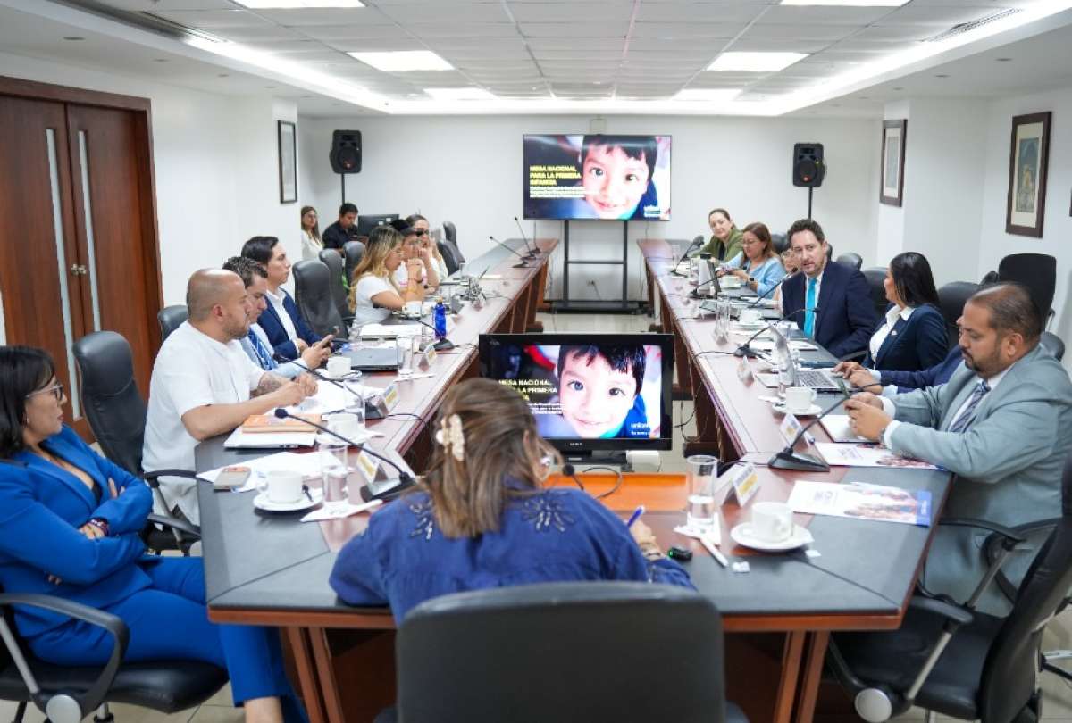 El titular del Ministerio de Desarrollo Humano fue designado vicepresidente del organismo.