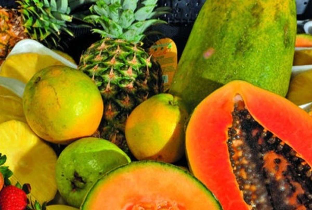 Exportación de frutas tropicales ecuatorianas crece en 2025