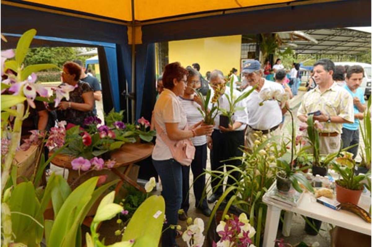 La amazon&iacute;a &lsquo;llena&rsquo; de emprendedores (Portafolio Gr&aacute;fico)