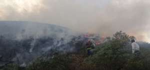Incendios forestales en el sur de Ecuador consumen m&aacute;s de 400 hect&aacute;reas
