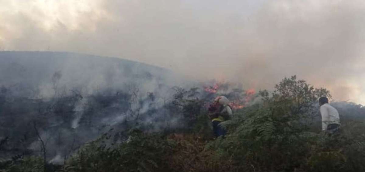 Incendios forestales en el sur de Ecuador consumen m&aacute;s de 400 hect&aacute;reas
