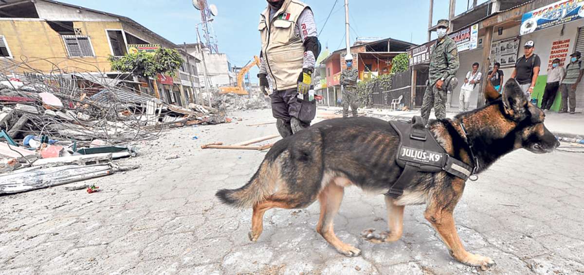 Las tareas de rescate en las zonas afectadas duraron m&aacute;s de 2 semanas. 