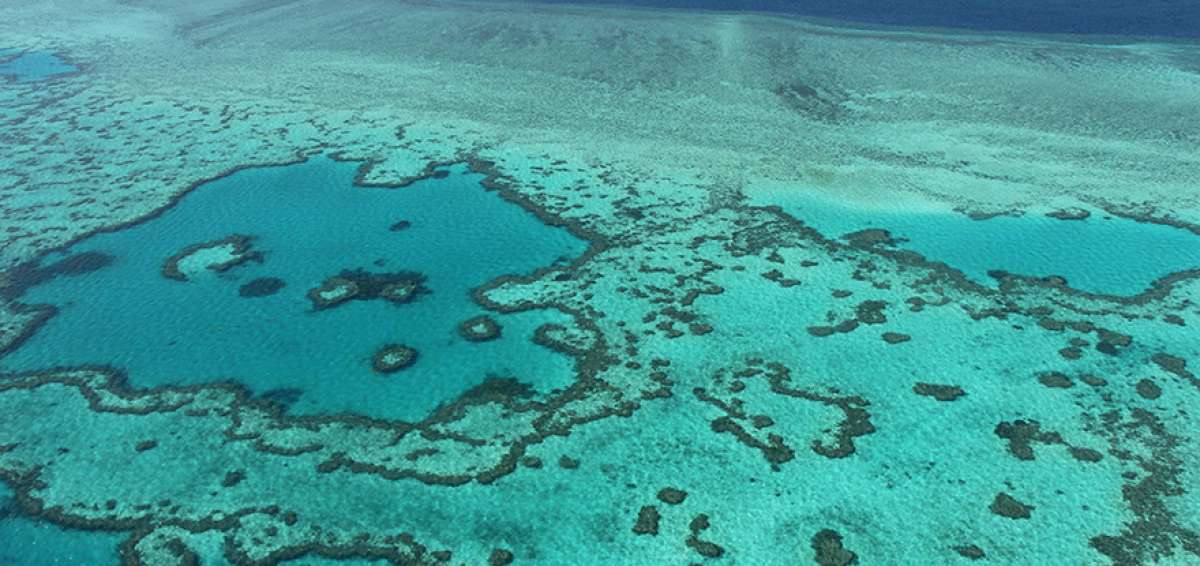 La Gran Barrera de Coral australiana experiment&oacute; decoloraciones severas de nuevo en 2017, lo que ocasion&oacute; a&uacute;n m&aacute;s da&ntilde;os en este delicado ecosistema.