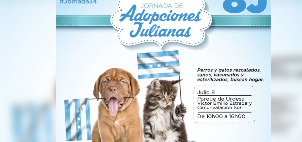 Fundaci&oacute;n Rescate Animal realizar&aacute; nueva jornada de adopciones