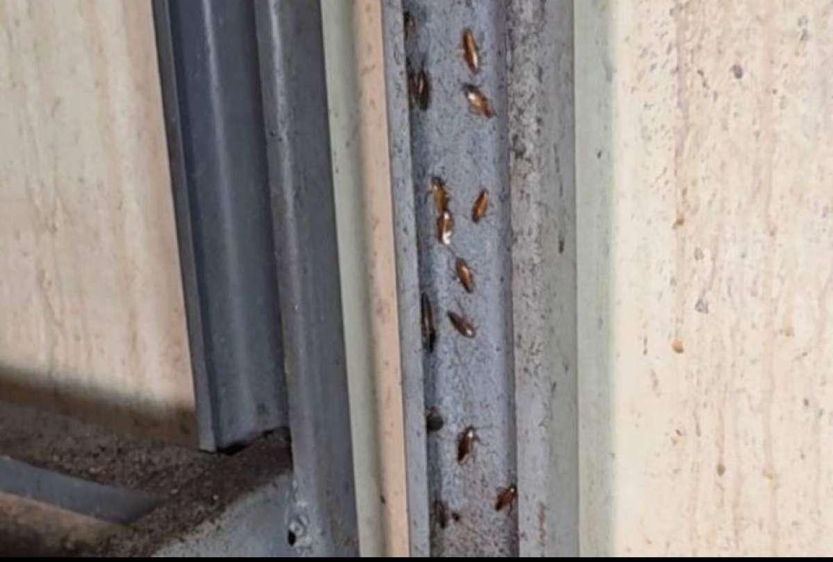 La Arcsa encontró cucarachas, basura acumulada y utensilios oxidados en el local, ubicado en Durán. 