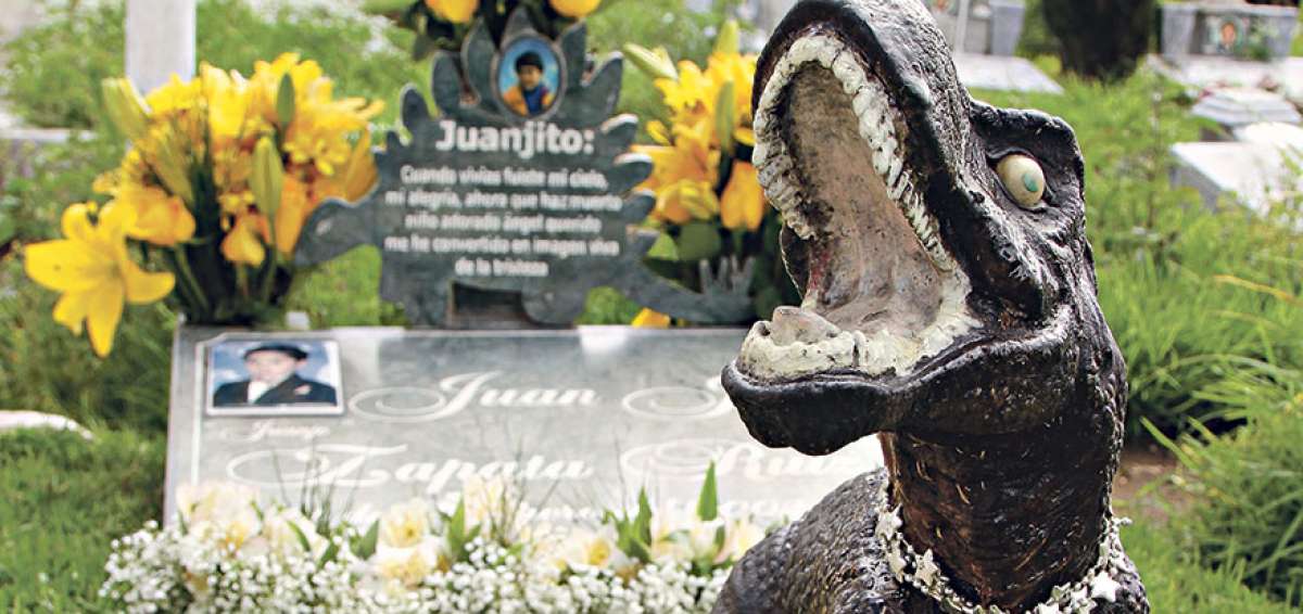 Para la autora de Reaparecidos, estas figuras constituyen una imaginaci&oacute;n po&eacute;tica que permite generar met&aacute;foras por medio de un lenguaje m&aacute;gico.