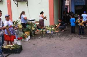 Autoridades del Ministerio del Ambiente realizan controles en las calles y mercados de Machala para evitar la venta de la palma de cera. Foto: Fabricio Cruz |  para El Tel&eacute;grafo