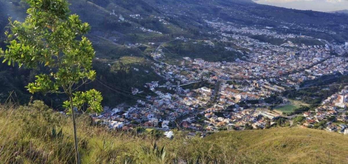 Municipio de Ambato y Corporaci&oacute;n Favorita emprenden reforestaci&oacute;n del cerro Casigana