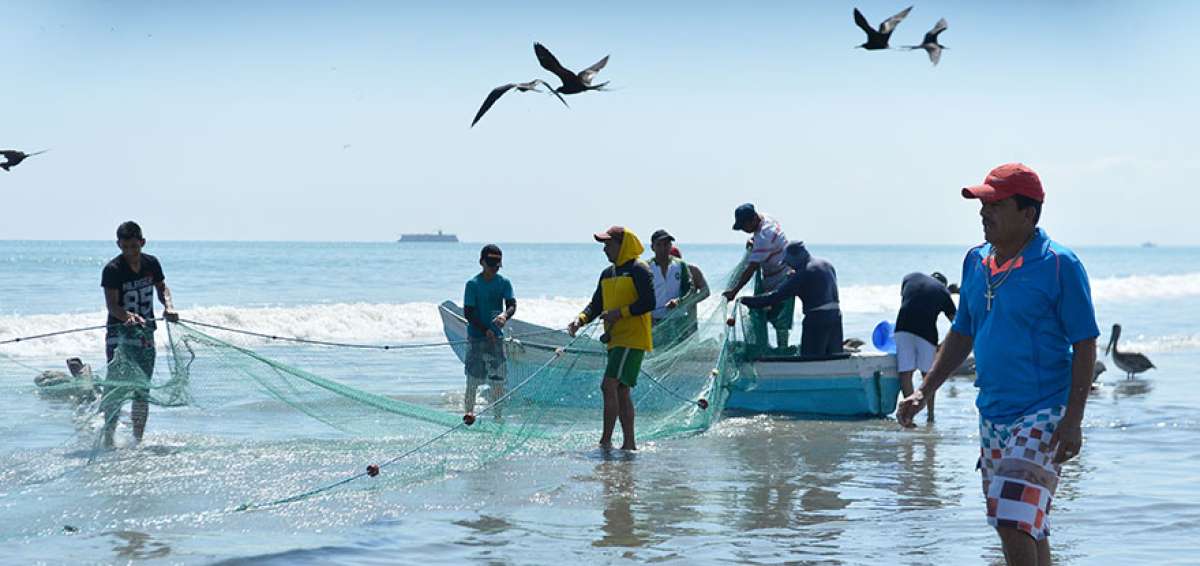 Las jornadas de trabajo de los pescadores son, principalmente, los lunes, mi&eacute;rcoles y viernes.