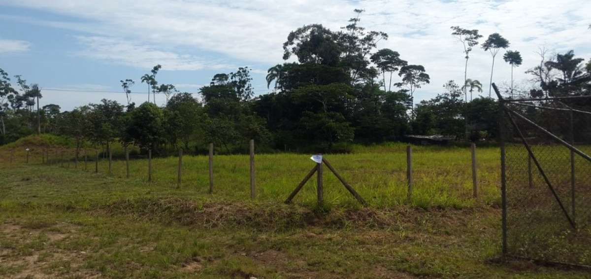Amazon&iacute;a Viva trabaja en siete &aacute;reas ubicadas en las provincias ecuatorianas de Orellana y Sucumb&iacute;os.
