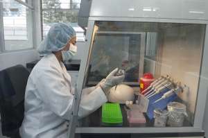 En el laboratorio, que funciona en Quito, se podr&aacute;n realizar an&aacute;lisis de enfermedades en cultivos y animales. Foto: John Guevara/ El Tel&eacute;grafo