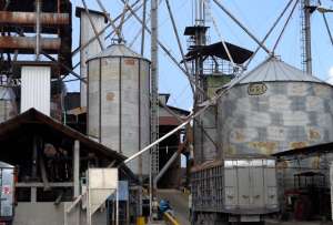 Ecuador exporta cien contenedores de arroz a Colombia