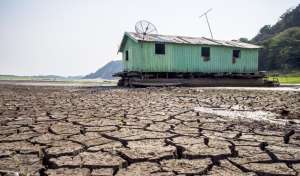 En el caso de la agricultura, m&aacute;s del 80% de las p&eacute;rdidas son por las sequ&iacute;as causadas por el cambio clim&aacute;tico. El da&ntilde;o econ&oacute;mico mundial es de cerca de $ 1,5 millones. AFP