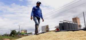 El Ministerio de Agricultura cancel&oacute; $ 8,1 millones a la Unidad Nacional de Almacenamiento (UNA EP).