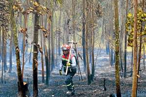 La vegetaci&oacute;n de 3 zonas en Latacunga sufri&oacute; da&ntilde;os, la p&eacute;rdida de fauna a&uacute;n est&aacute; en evaluaci&oacute;n. Foto: Silvia Osorio / para El Tel&eacute;grafo
