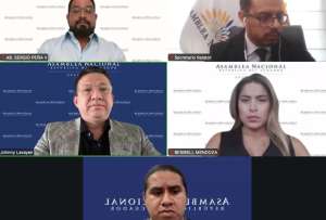 Comisi&oacute;n de &Eacute;tica sugiere destituir  a asamble&iacute;sta del corre&iacute;smo.