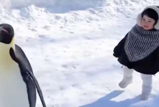El video de una tierna niña siguiendo los pasos de unos pingüinos ha enternecido a los usuarios en redes sociales. 