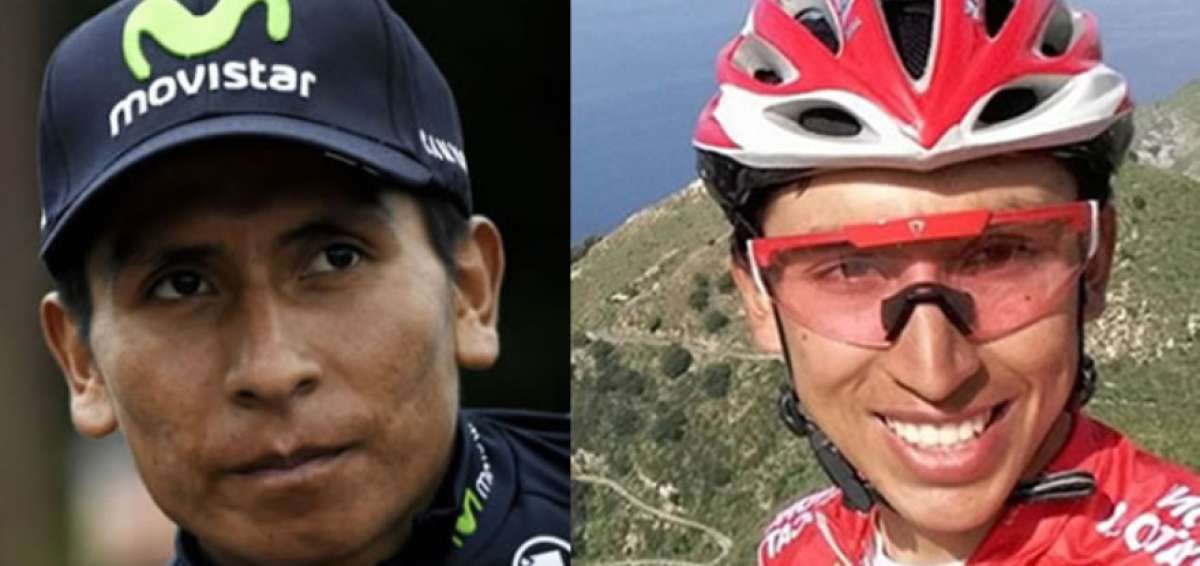 Ciclistas colombianos destacan en Tour de Francia