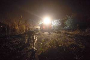 Incendio en Cerro Colorado