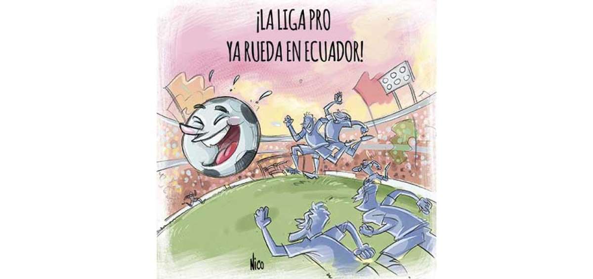 Puntapi&eacute; inicial