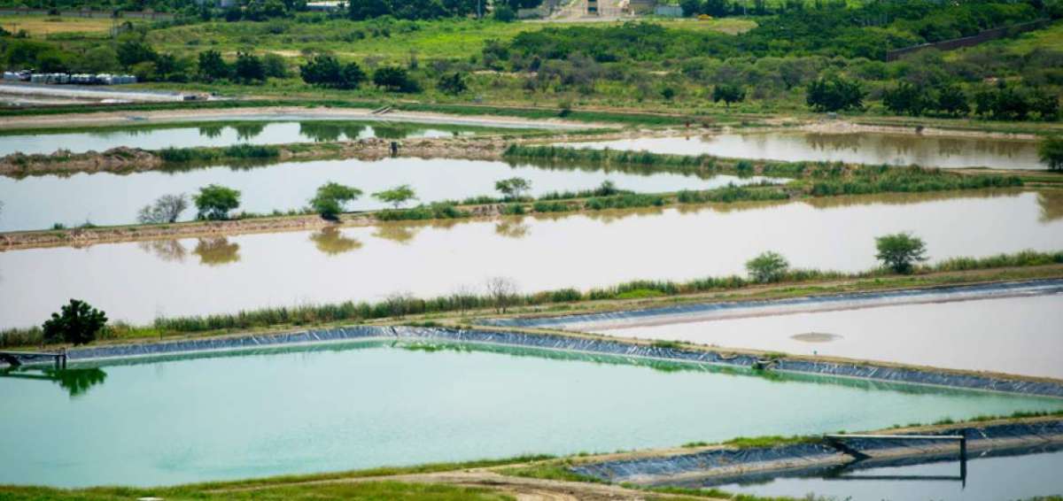 Las lagunas de oxidaci&oacute;n de Manta, 14 en total, est&aacute;n ubicadas en el sector de San Juan, atr&aacute;s de Ciudad del Sol y cerca de otras urbanizaciones.