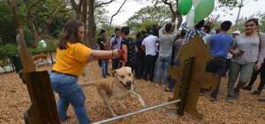 Adopci&oacute;n de mascotas y atenci&oacute;n veterinaria gratuita en feria animalista