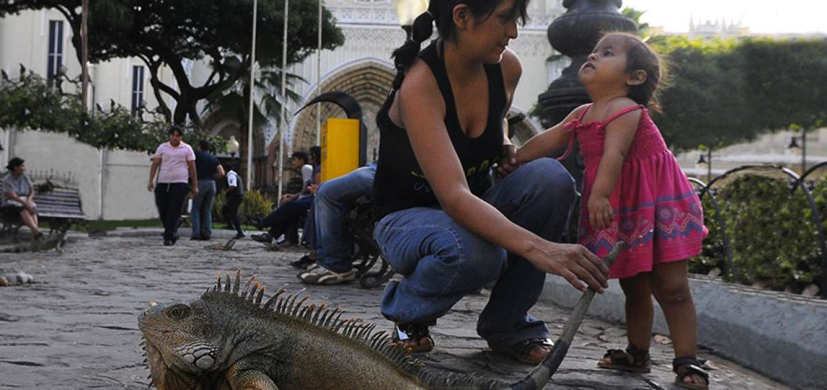 Trabajar y ser madre, dos roles marcados por sacrificios