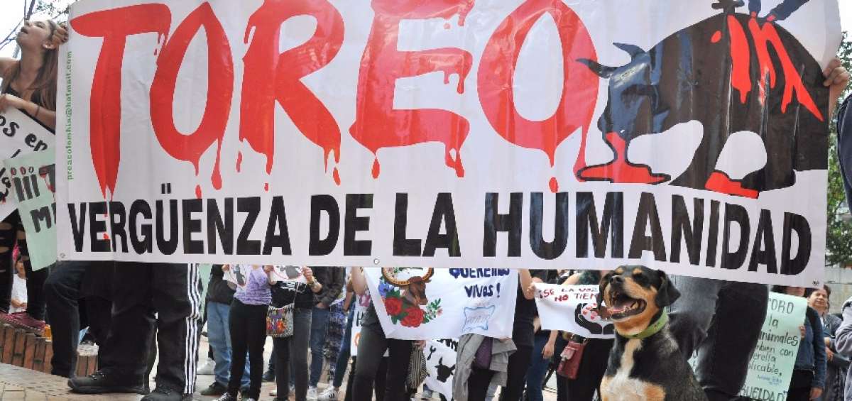 La protesta en Colombia ocasion&oacute; enfrentamientos entre los manifestantes y 1.200 polic&iacute;as.