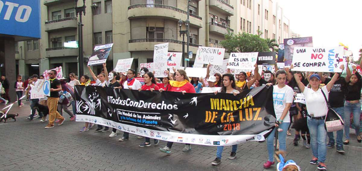 Docenas de personas se unieron a la marcha de la luz 2018 en Guayaquil