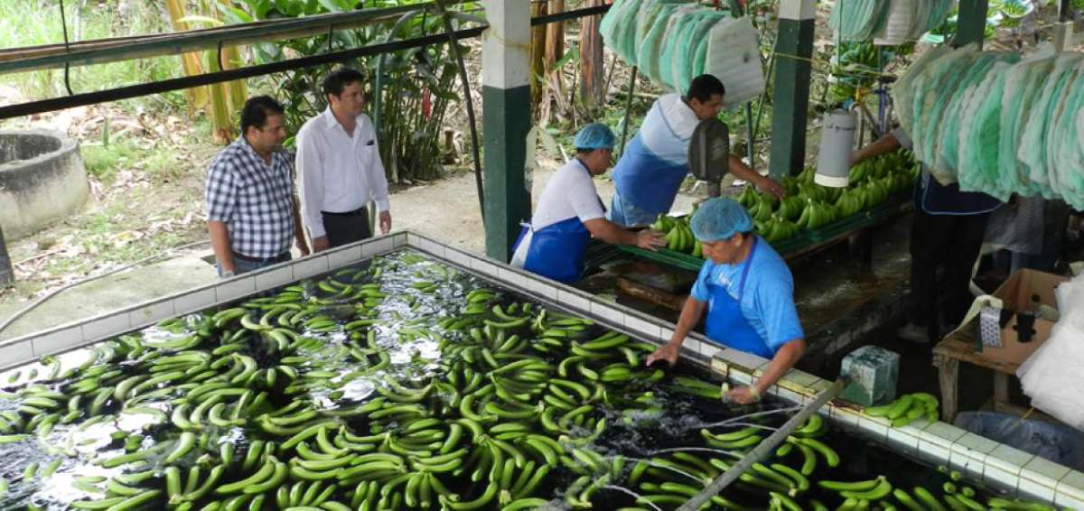 Alianza tripartita impulsar&aacute; exportaciones de las Pymes