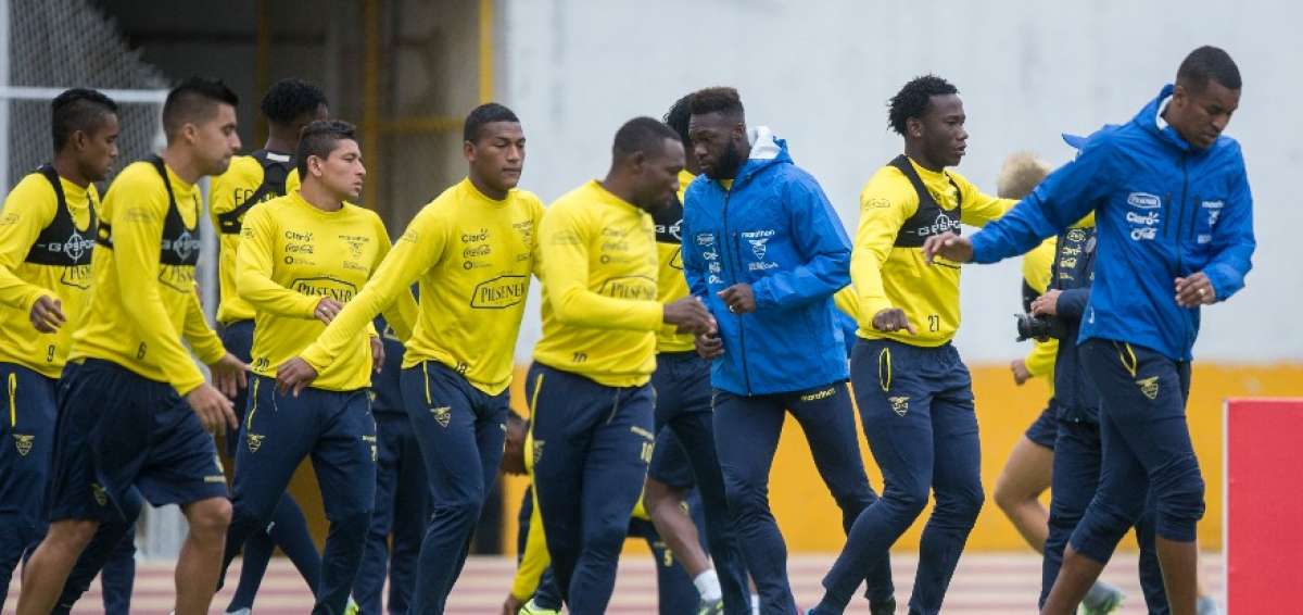 Posible alineaci&oacute;n de Ecuador