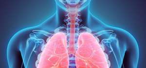 El procedimiento ayudar&aacute; a los pacientes con c&aacute;ncer, pues la medicina magn&eacute;tica ser&aacute; guiada desde el exterior hasta la parte afectada.