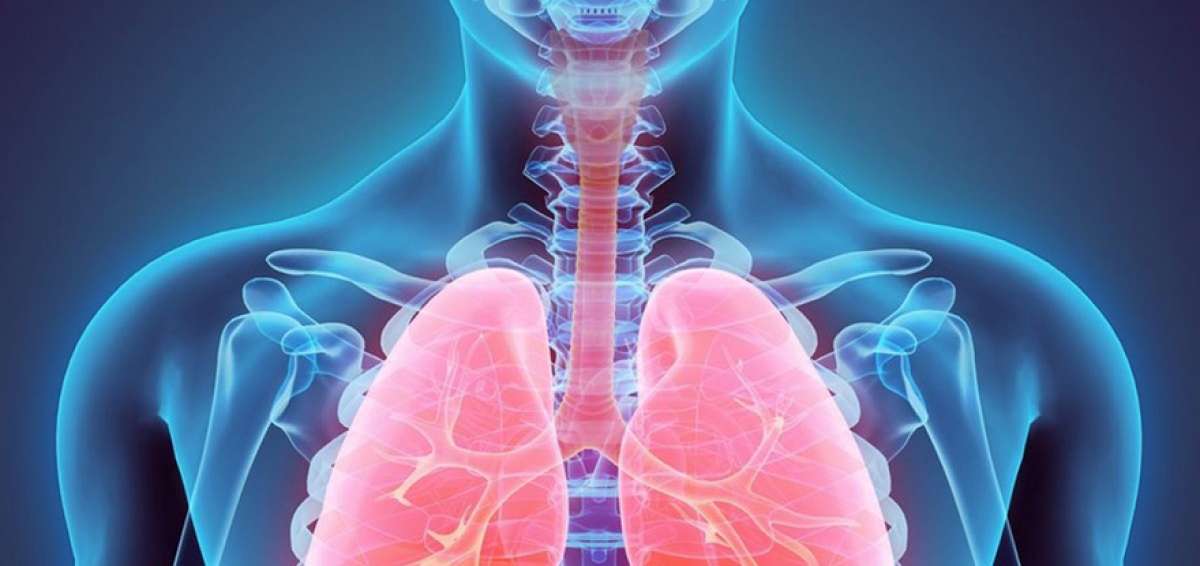 El procedimiento ayudar&aacute; a los pacientes con c&aacute;ncer, pues la medicina magn&eacute;tica ser&aacute; guiada desde el exterior hasta la parte afectada.