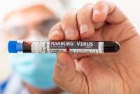 Alerta en África por brote del virus de Marburgo, enfermedad letal similar al Ébola