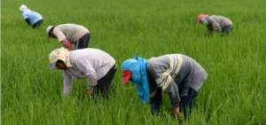 En los pr&oacute;ximos 4 a&ntilde;os se prev&eacute; la masificaci&oacute;n del seguro agr&iacute;cola