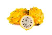 Ecuador actualmente exporta pitahaya a 56 países. 