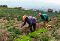 El ministro de Agricultura y Ganadería, Bernardo Manzano, cumple agenda en Italia.