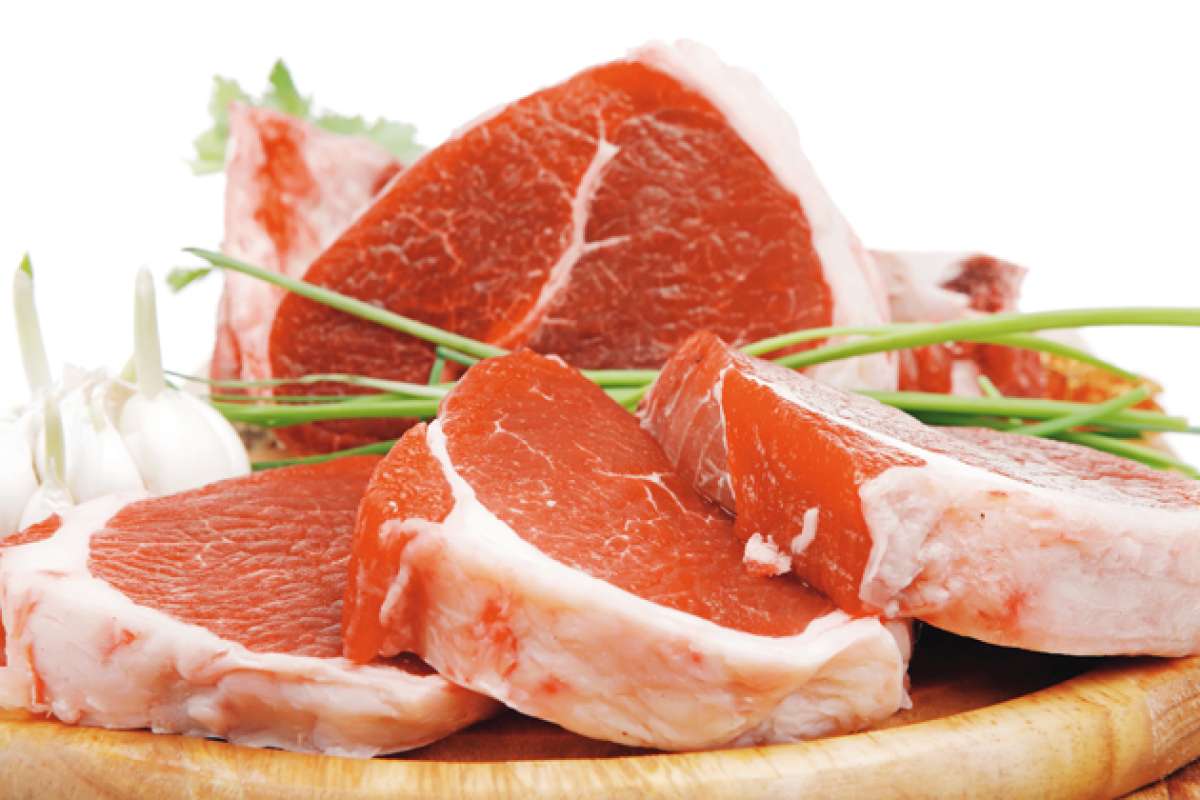 La prote&iacute;na animal en la evoluci&oacute;n