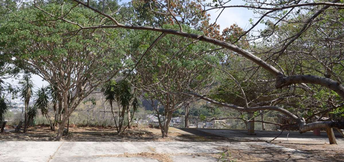 El sector de las canchas ubicado en la parte baja del bosque protector, en la ciudadela El Para&iacute;so.