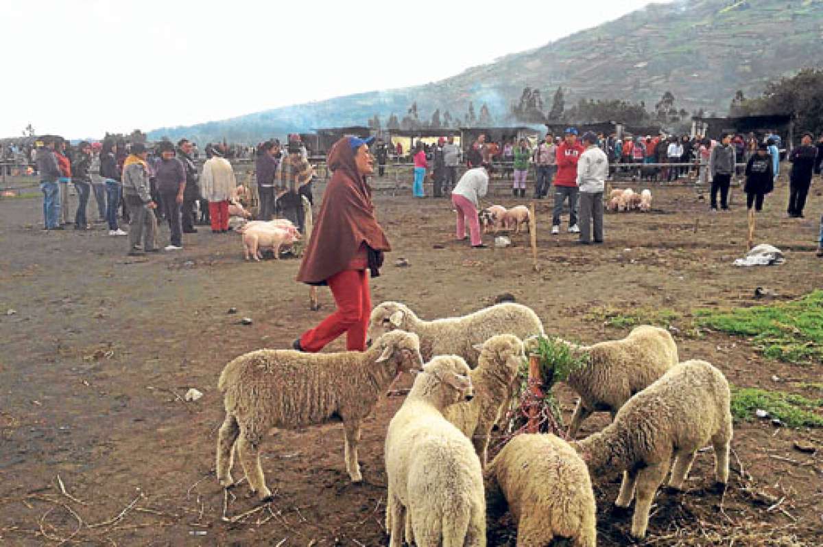 Hubo indios con excelentes cualidades de obediencia y sumisi&oacute;n que trabajaron hasta por m&aacute;s de 20 a&ntilde;os sin salir de estos encierros (los obrajes) que fueron su cuna y tumba. Fueron como ovejas que solo acataban la voz del amo. Foto: Miguel Castillo