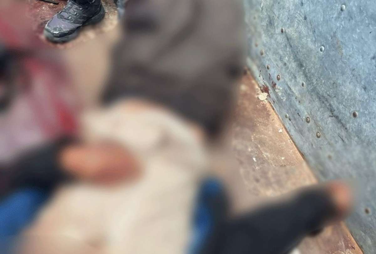 Ministro Reimberg inform&oacute; que Polic&iacute;a abati&oacute; a sujeto armado en Quinind&eacute;