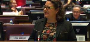 La vicepresidenta de la Comisi&oacute;n de Relaciones Internacionales, Dora Aguirre, explic&oacute; los beneficios del acuerdo. 