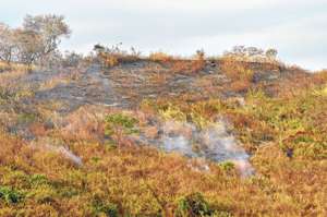 El Cerro Colorado cuenta con m&aacute;s de 300 hect&aacute;reas y fue declarado bosque protector por el MAE. Foto: Miguel Castro / El Tel&eacute;grafo.
