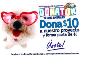 Campa&ntilde;a Donat&oacute;n para recaudar fondos y ayudar a los animales rescatados