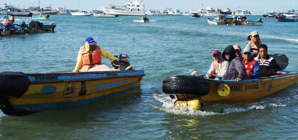 El movimiento en la rada del muelle flotante, frente al Manta Yacht Club,  es permanente. Los pescadores son los que m&aacute;s hacen uso de estas chalupas.